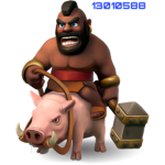 The Hogs †