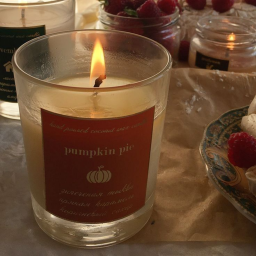 ˚ · 🍂⭒˚｡⋆ .˚