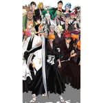 Bleach: Raging Shadows