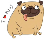 The pug and dug team