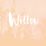 willow fellow jay