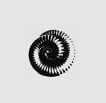 Reverberations of Tautomeri