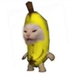 Bácon man