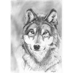 Wolf Runner
