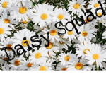 #DAISYSQUAD#