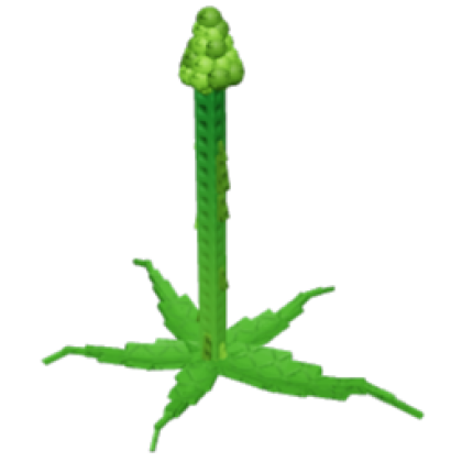 Tall Asparagus