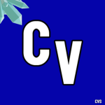 Crystal Void Studio's
