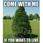 Are you, are you coming to the tree??