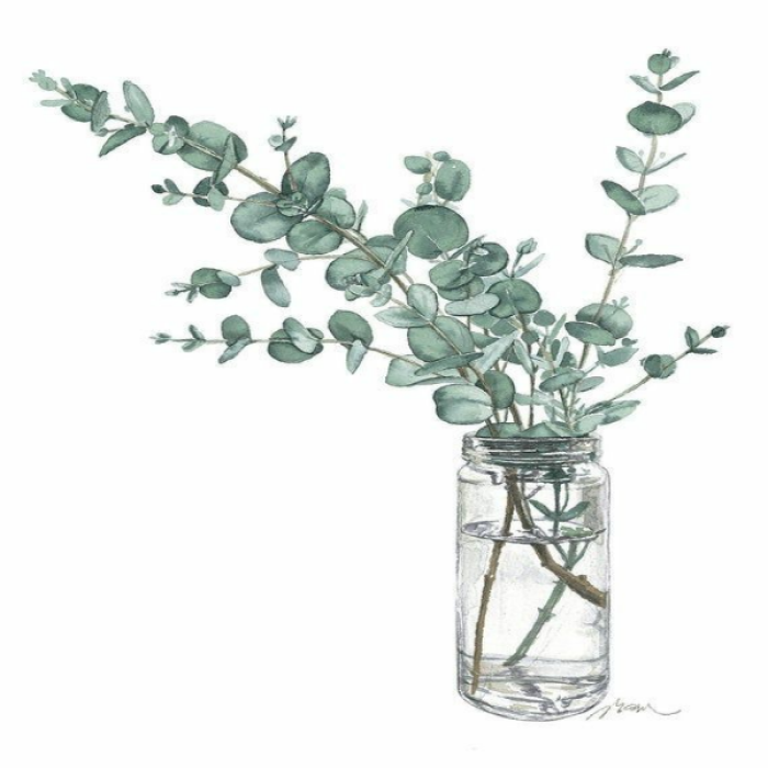 [SCANDINAVIAN] Eucalyptus Drawing Roblox decal