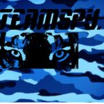 #TEAM SPY