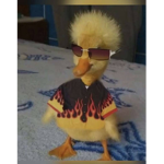 Emiliothegoat