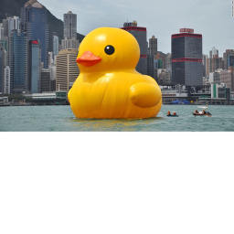 ducky city