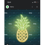 pineapple fridge