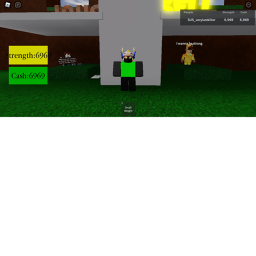 Simulator