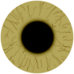 Golden Eye Badge
