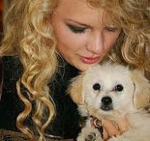 Swiftie's & Doggo's