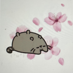 ˃◡˂
