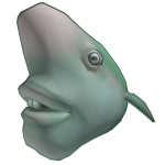 Funny Fish