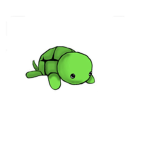 Welcome turtles