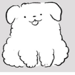 안쓰는 그룹