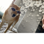 ROBUX_gang_sk