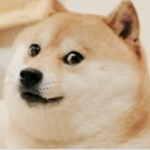 DOGE RULLLE