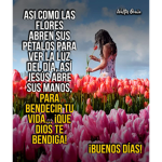 Meisy