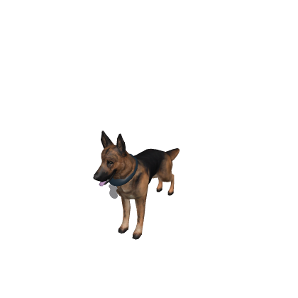 K9