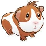 Team Alfred The Guinea Pig