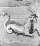 Capricorns