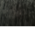 Among the sleep