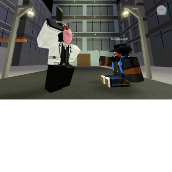 Survive the Dolphin the Killer in the City