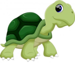 The turtle that sells shirts