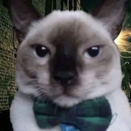 La Gato Loco Home. Roblox group icon