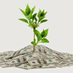 money farmer