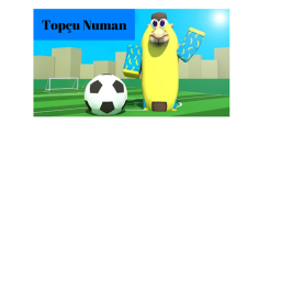 Topçu Numan