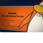Kool penguin gaems studioez