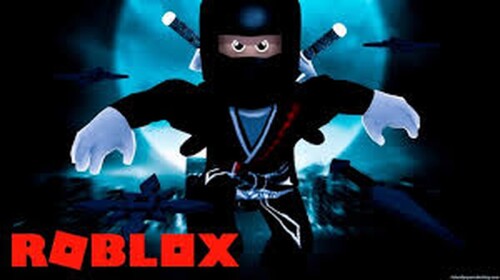 ninjas and spy daycare and school