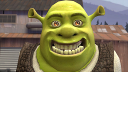 shrek invasion (bad game)