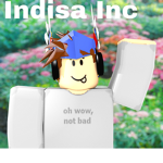 Indisa Inc