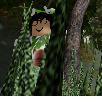 Matricula Forest