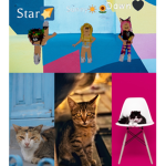 Cat Krew!!!