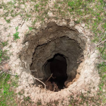 20 foot hole