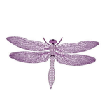 Little dragonflies