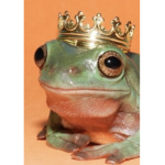 Frogs is the best