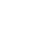 Bullet Hell