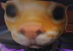 Egg's basement