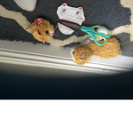 Rat busterss