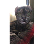 Millie ######