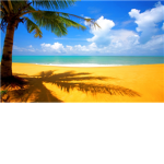 Beacherz